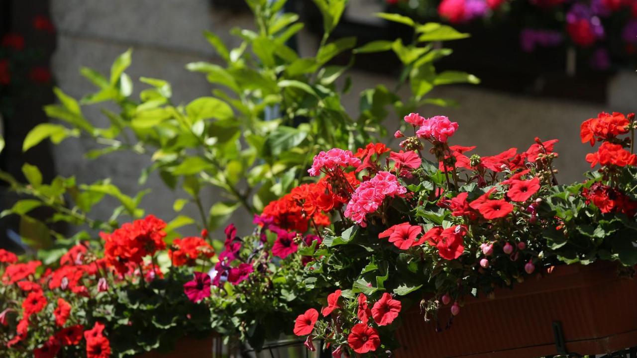Haus Jutta Otel Goessweinstein Dış mekan fotoğraf